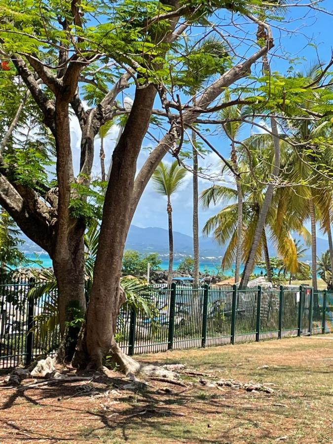 Cauris Lodge Du Marisol Vue Mer Acces Direct Plage Avec Citerne D Eau Ле Госие Екстериор снимка